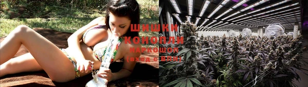 тгк Михайловск