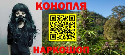 спиды Кинель