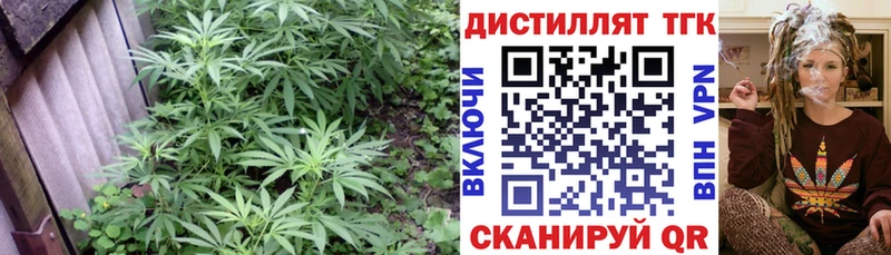 blacksprut сайт  купить наркоту  Тольятти  Дистиллят ТГК вейп 