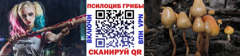 Псилоцибиновые грибы мухоморы  купить наркотики сайты  Тольятти 